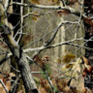 Meet your Posher, Jackson